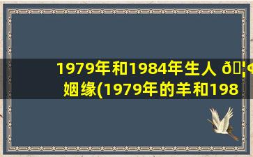 1979年和1984年生人 🦢 姻缘(1979年的羊和1984年的鼠夫妻)